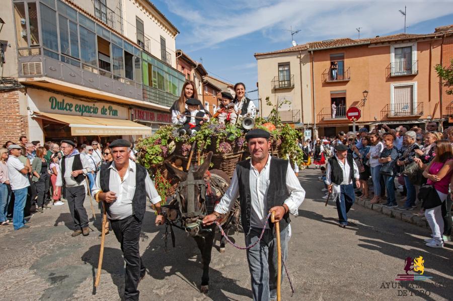 Desfile tradicional de carros de la Vendimia de Toro
