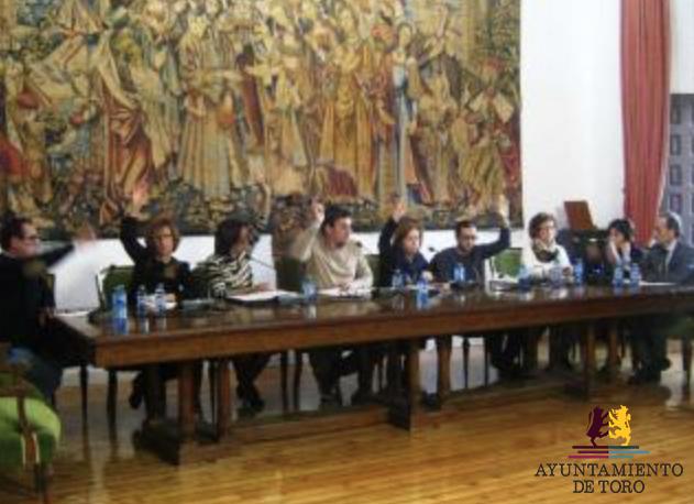 El Pleno apoya la reconcentraci&oacute;n parcelaria del canal de San Jos&eacute;