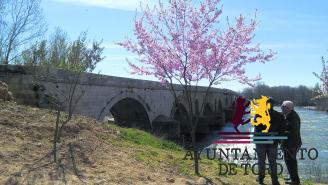 La remozada imagen de un emblema