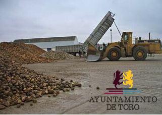 El Instituto Tecnol&oacute;gico Agrario abre un proyecto de I+D+i sobre remolacha