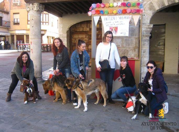 Toro adaptar&aacute; el viejo matadero como refugio de los animales abandonados