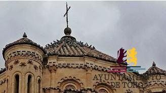 El Ayuntamiento instala jaulas para palomas en m&aacute;s edificios para controlar su poblaci&oacute;n