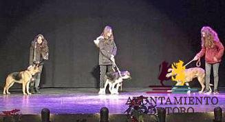 Guardianes de las mascotas