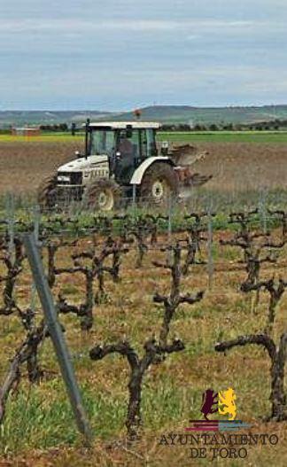 Toro acoge una jornada de est&iacute;mulo al emprendimiento en el campo tecnol&oacute;gico