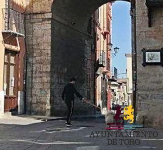 Coronavirus en Zamora | El Ayuntamiento de Toro aplica nuevas normas para regular las salidas con mascotas