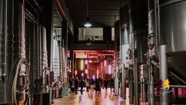 Un tinto de Toro, el mejor de Espa&ntilde;a en la Champions Wine 2020.