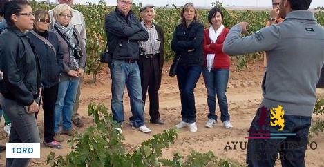 Las empresas de enoturismo de Toro se reinventan para &ldquo;reencontrarse&rdquo; con los turistas