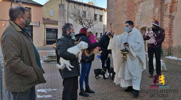 El COVID limita la fiesta de San Ant&oacute;n en Toro a la misa y la bendici&oacute;n de animales