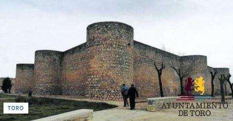 El desplome de una b&oacute;veda descubre serias humedades en el Alc&aacute;zar de Toro