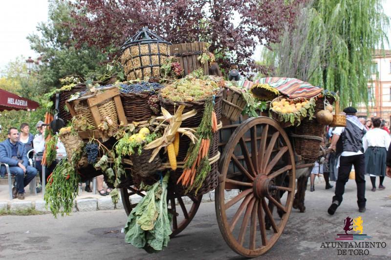 NORMATIVA PARA EL DESFILE DE CARROS DE LA FIESTA DE LA VENDIMIA 2026